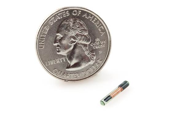 RFID Glass Capsule (125kHz) (2)