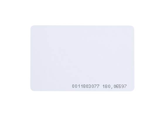 RFID Tag (125kHz) (2)