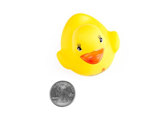 SparkFun Debugging Duck (5)