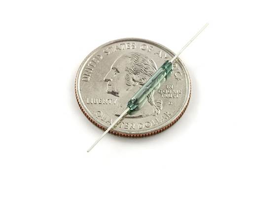 Reed Switch (2)