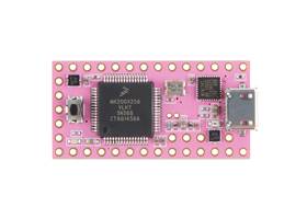 Pink Teensy 3.1 (Anouk Edition) (2)