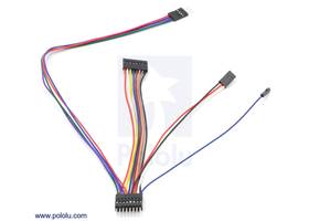 0.1" connector custom cable