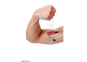 Example of electrode placement for the MyoWare Muscle Sensor to measure bicep activity