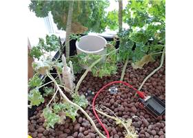 Qwiic UV Sensor - ZOPT2201 (2)