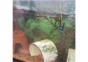 Qwiic Water-Resistant OLED (7)