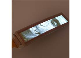Flexible Grayscale Display - 1.81"