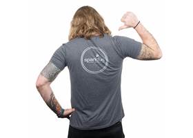 Master of Coin Shirt - Large (Gray) (2)