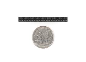 Tall GPIO Female Headers - 2x20 Pin (4)