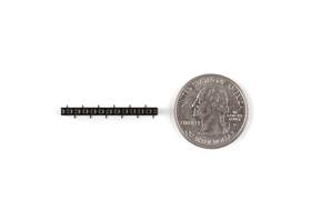 Straight Female Header 12 Pin (SMD) - Short (4)