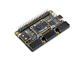 Sipeed Tang Primer 25K (4)