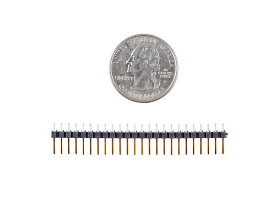 Straight Header - Male, Gold Plating (PTH, 0.1in., 24-Pin) (2)