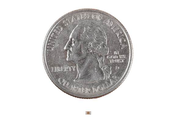 Capacitor Ceramic -1.0μF 16V (2)