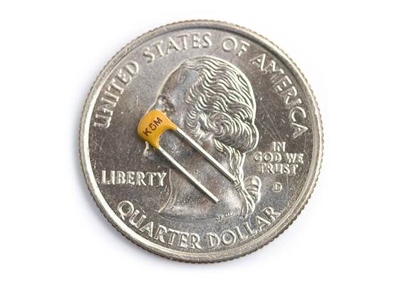 Capacitor Ceramic 22pF