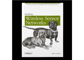 Building Wireless Sensor Networks