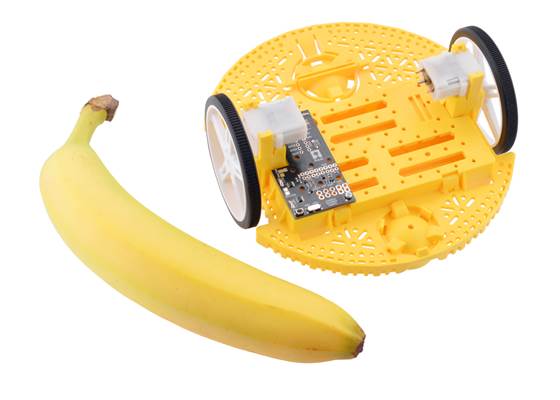 Romi with a banana for scale.