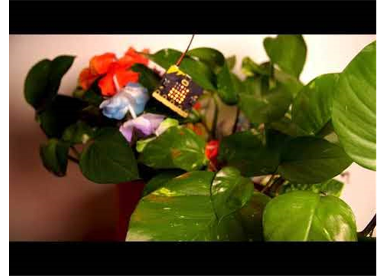 micro:bit v2 Board (5)