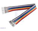 Thumbnail image for Ribbon Cable with Pre-Crimped Terminals 10-Color M-F 6" (15 cm)